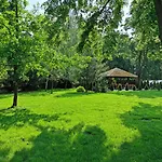 Lesne Zacisze - K. Niepokalanowa