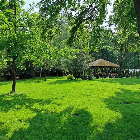 Lesne Zacisze - K. Niepokalanowa