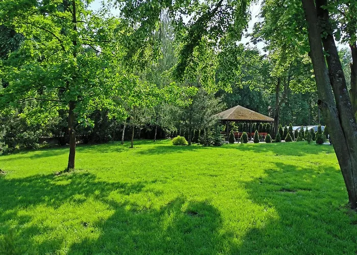 Leśne Zacisze - K. Niepokalanowa